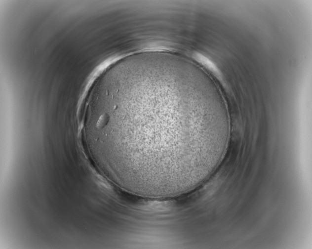 X0000086981419200704301308