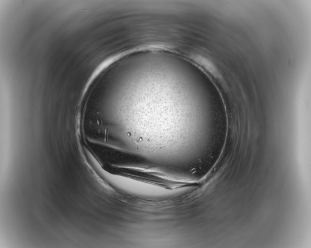 X0000086981420200704301308