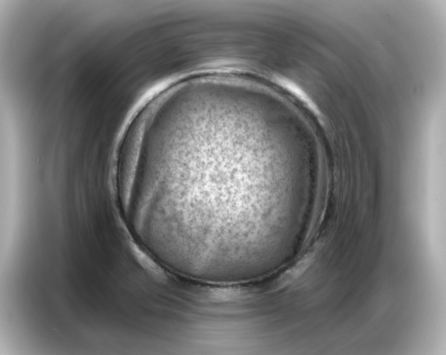 X0000086981421200704301308