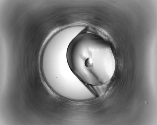 X0000086981422200704301308