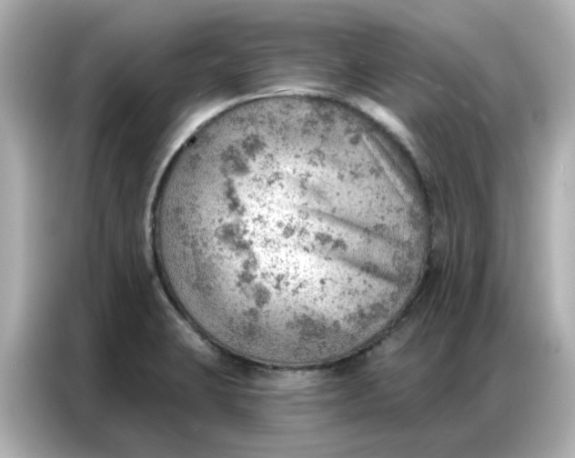 X0000086981423200704301308