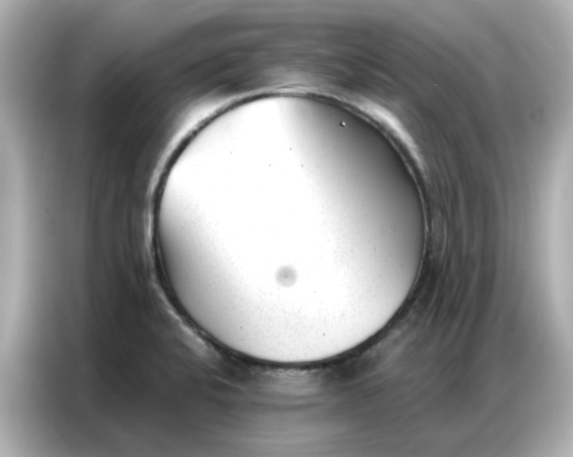 X0000086981424200704301308