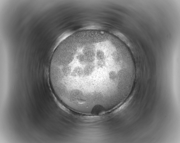 X0000086981425200704301308