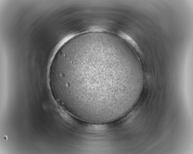 X0000086981427200704301308