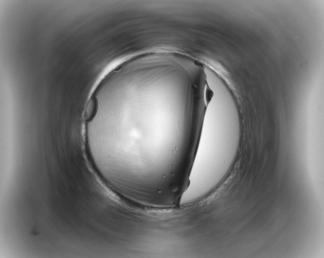 X0000086981428200704301308