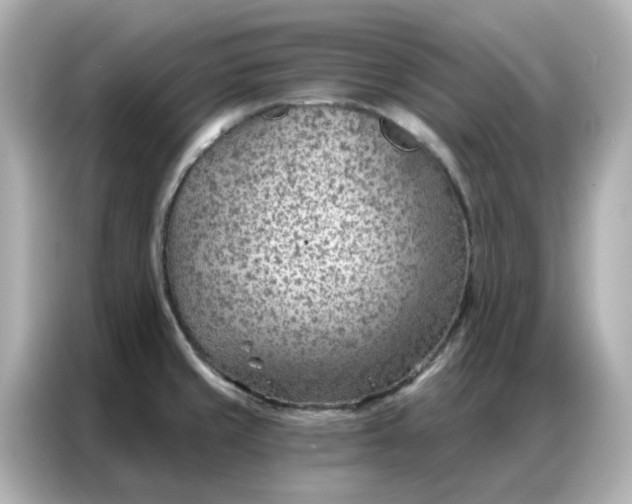 X0000086981429200704301308