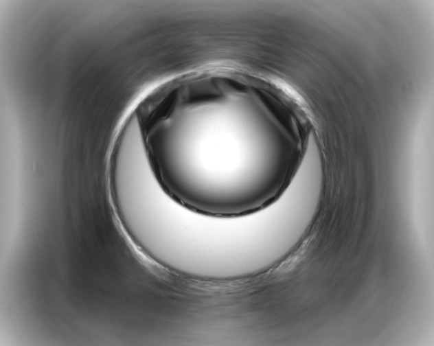 X0000086981430200704301309