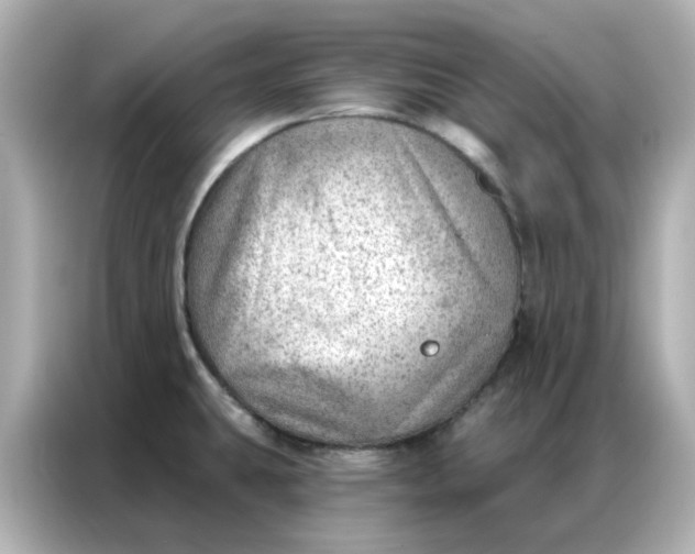 X0000086981431200704301309