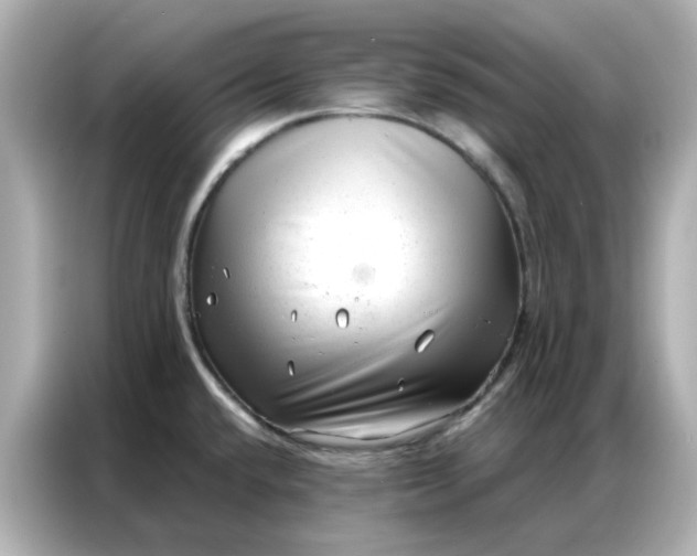 X0000086981432200704301309