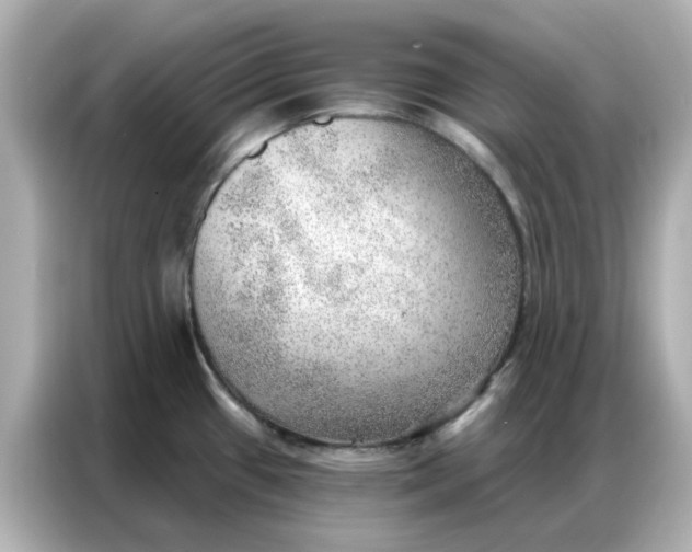 X0000086981433200704301309