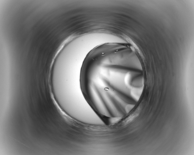 X0000086981434200704301309