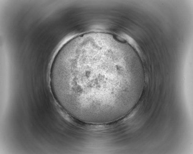 X0000086981435200704301309