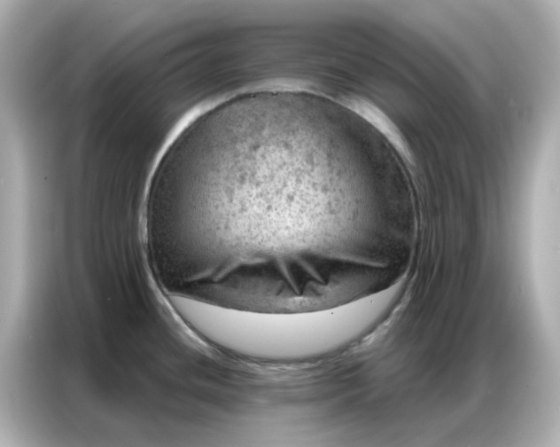 X0000086981436200704301309