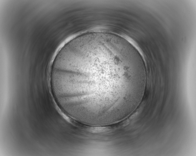 X0000086981437200704301309