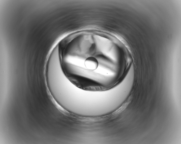 X0000086981438200704301309