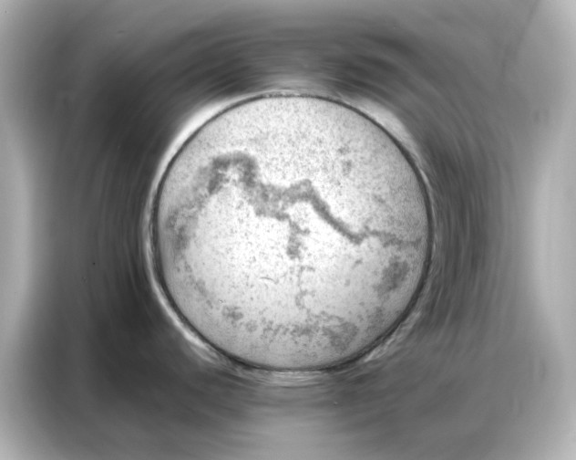 X0000086981440200704301309