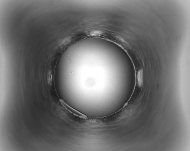 X0000086981443200704301308