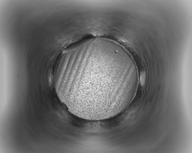 X0000086981444200704301308