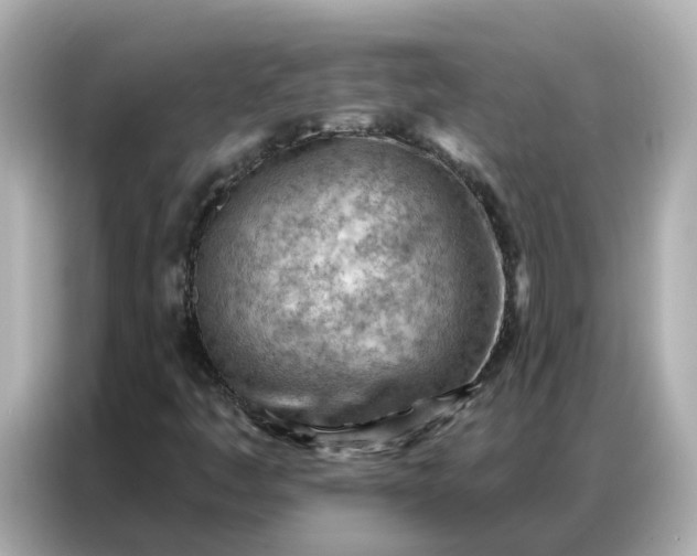 X0000086981445200704301308