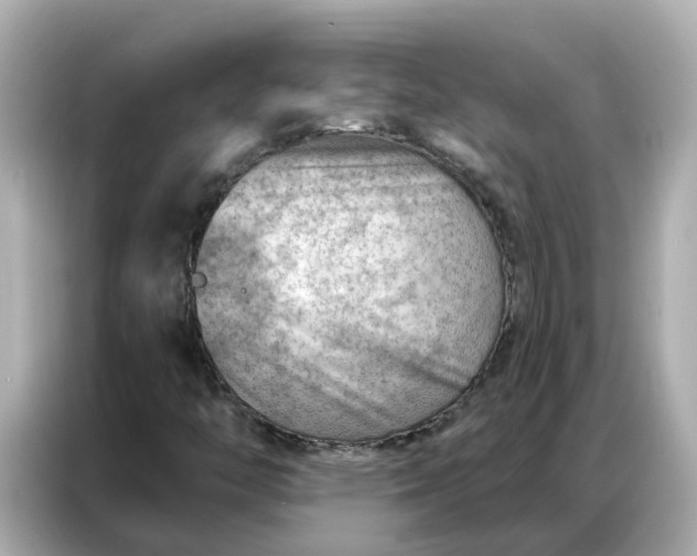 X0000086981446200704301308