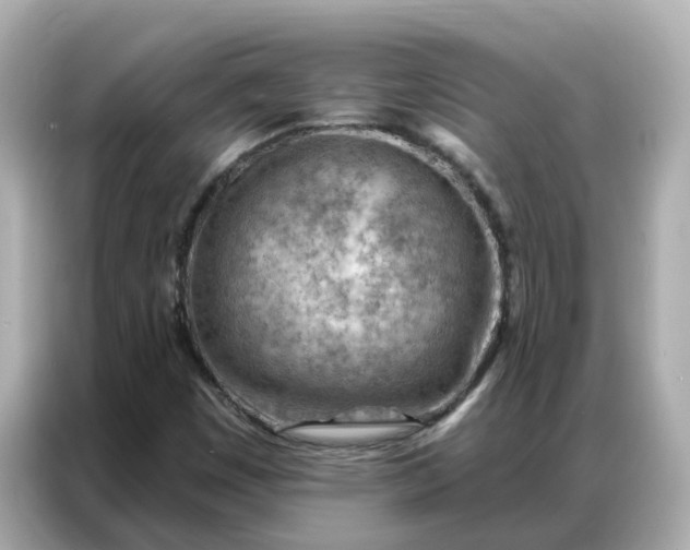 X0000086981449200704301308