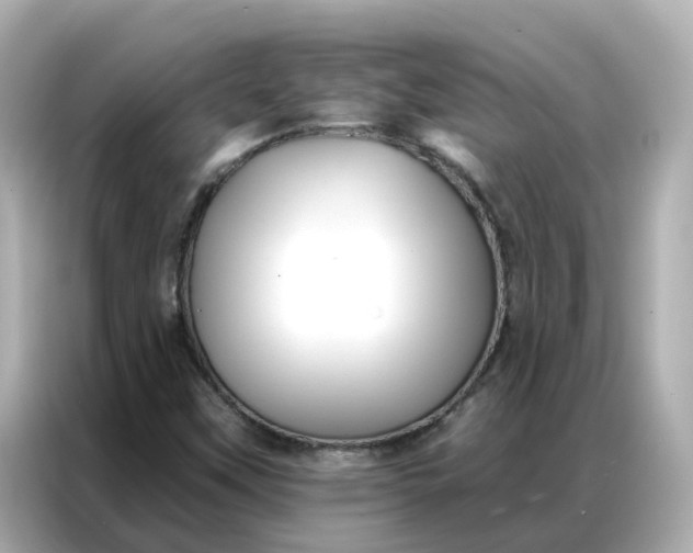 X0000086981451200704301308