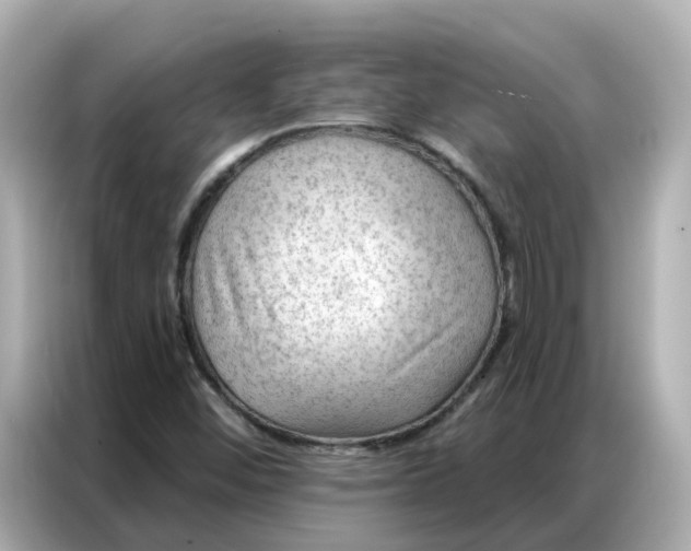 X0000086981452200704301308