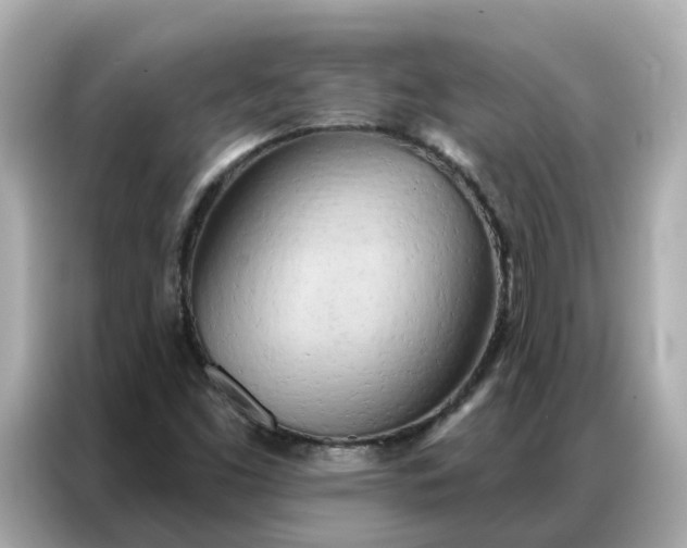 X0000086981453200704301308