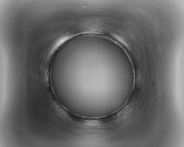 X0000086981455200704301308