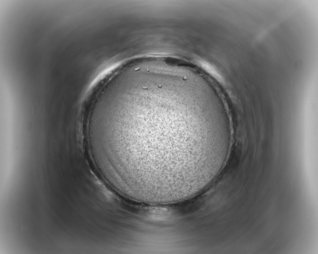 X0000086981456200704301308