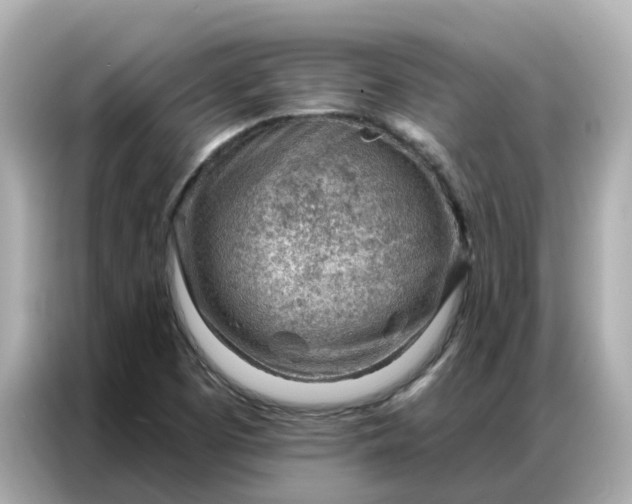 X0000086981457200704301308