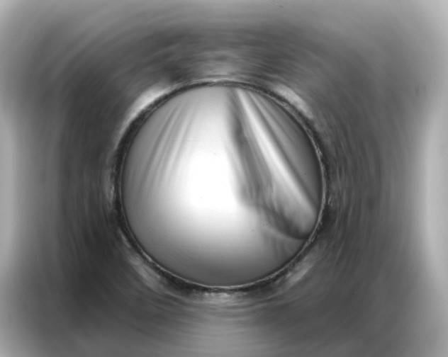 X0000086981458200704301308