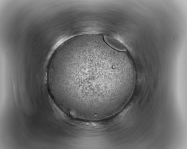 X0000086981459200704301308