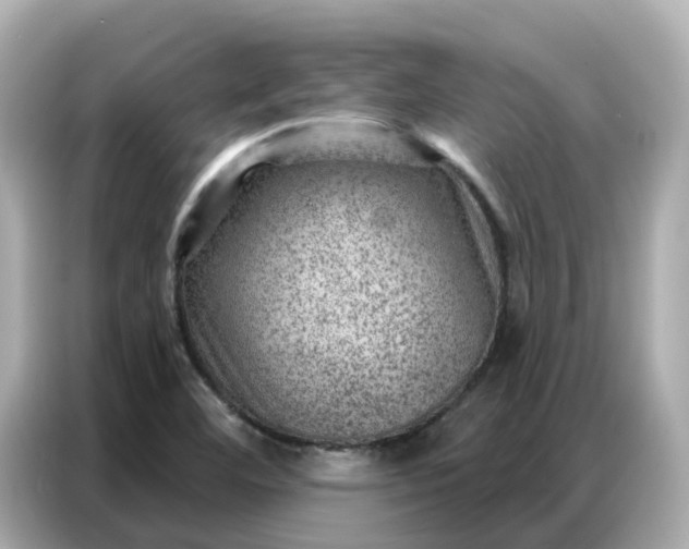 X0000086981460200704301308