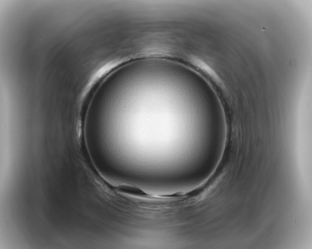 X0000086981461200704301308