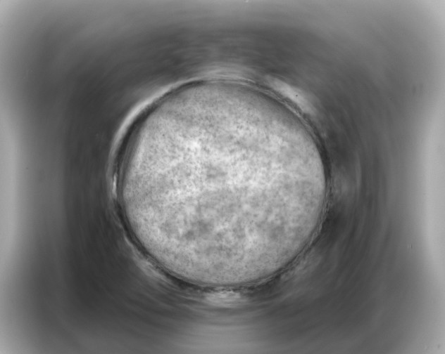 X0000086981462200704301308