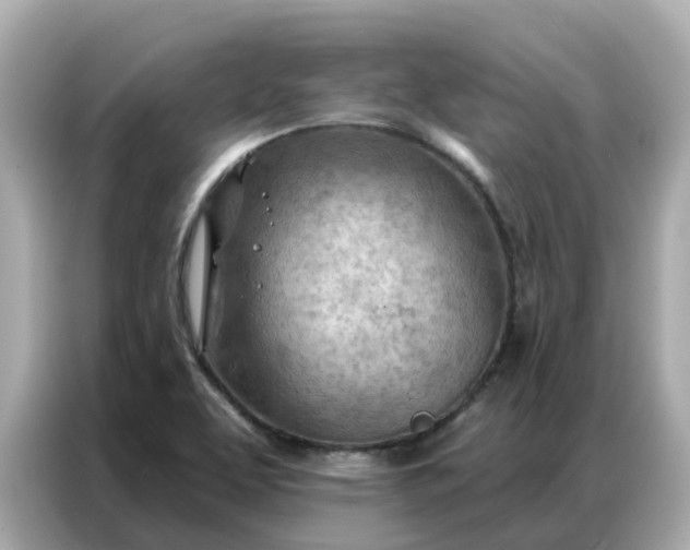 X0000086981463200704301308