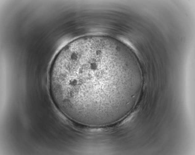 X0000086981467200704301308