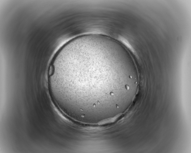 X0000086981468200704301308