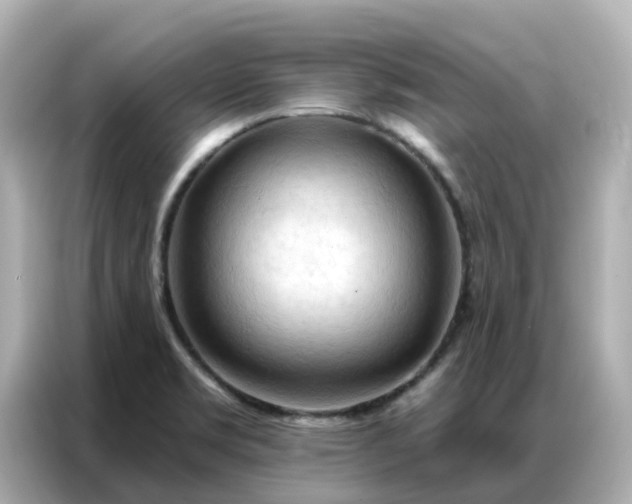 X0000086981469200704301308