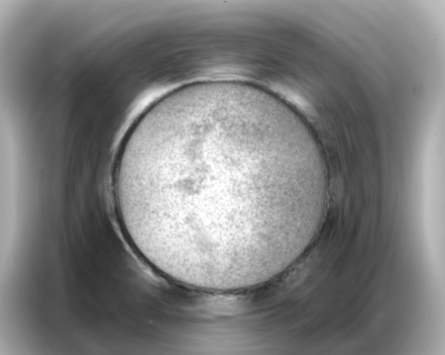 X0000086981470200704301308