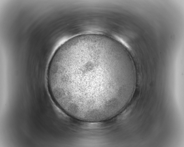 X0000086981471200704301308