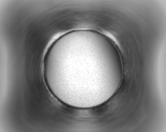 X0000086981472200704301308