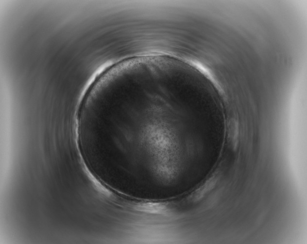 X0000086981476200704301308