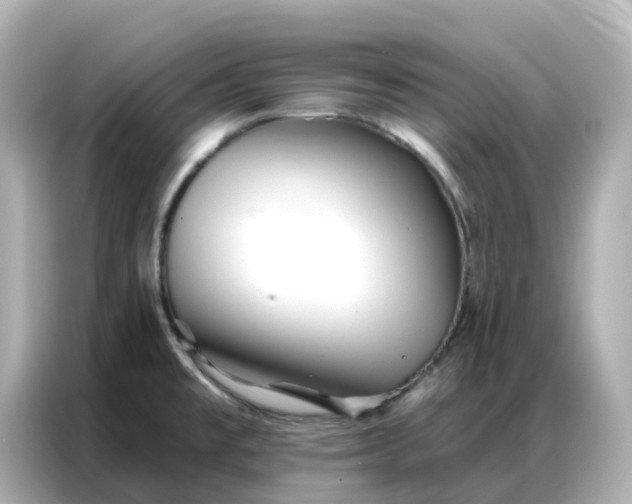 X0000086981477200704301308