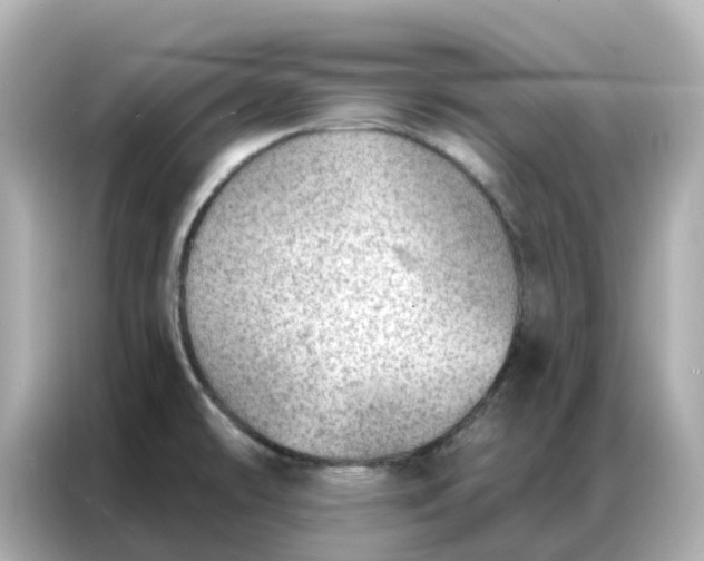 X0000086981478200704301308