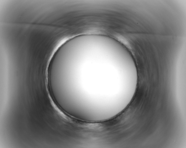 X0000086981479200704301308