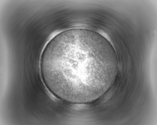 X0000086981482200704301307