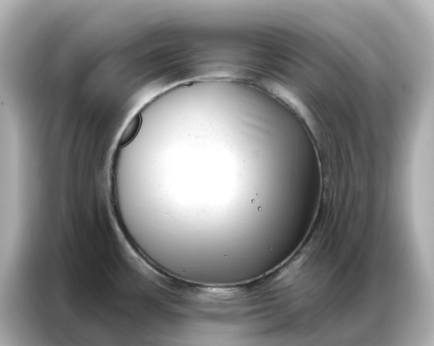 X0000086981483200704301307