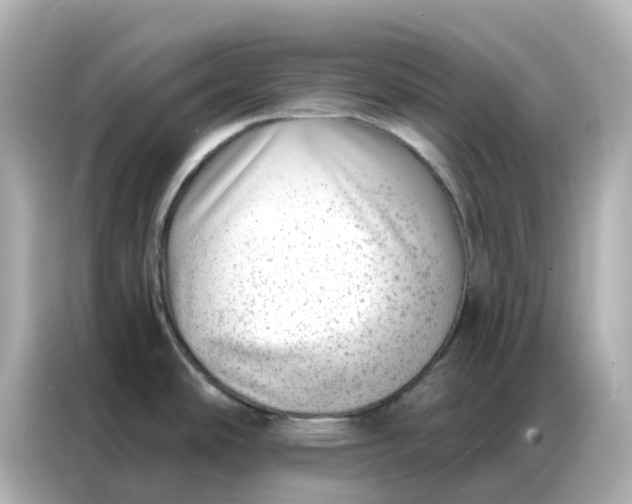 X0000086981486200704301307